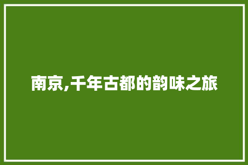 南京,千年古都的韵味之旅