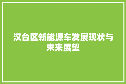 汉台区新能源车发展现状与未来展望