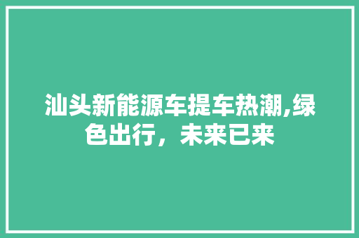 汕头新能源车提车热潮,绿色出行，未来已来