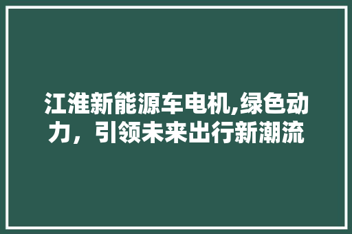 江淮新能源车电机,绿色动力，引领未来出行新潮流