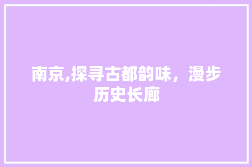 南京,探寻古都韵味，漫步历史长廊