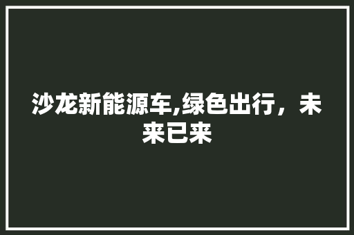 沙龙新能源车,绿色出行，未来已来