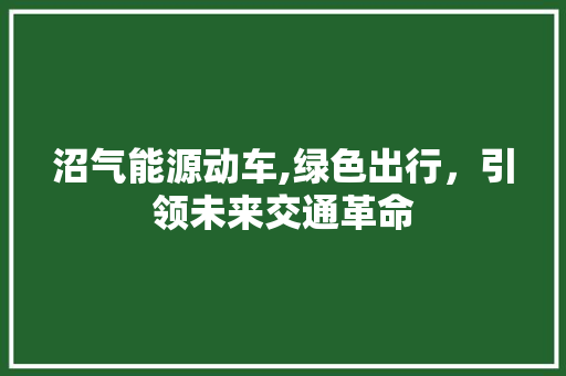 沼气能源动车,绿色出行，引领未来交通革命