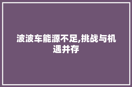 波波车能源不足,挑战与机遇并存