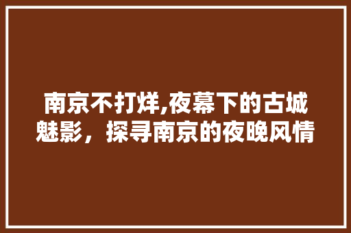 南京不打烊,夜幕下的古城魅影，探寻南京的夜晚风情