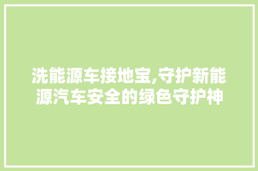 洗能源车接地宝,守护新能源汽车安全的绿色守护神