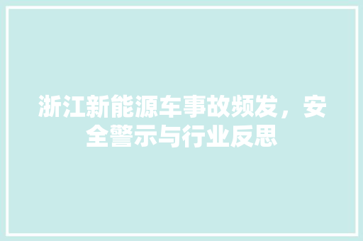 浙江新能源车事故频发，安全警示与行业反思  第1张