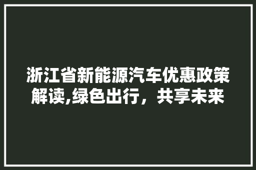 浙江省新能源汽车优惠政策解读,绿色出行，共享未来