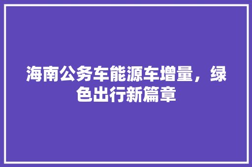 海南公务车能源车增量，绿色出行新篇章