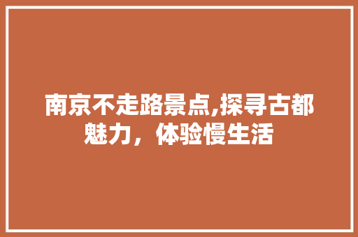 南京不走路景点,探寻古都魅力，体验慢生活