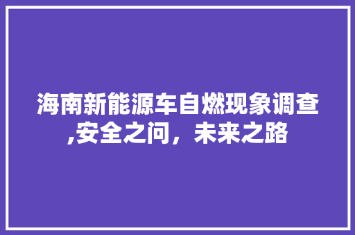 海南新能源车自燃现象调查,安全之问，未来之路  第1张