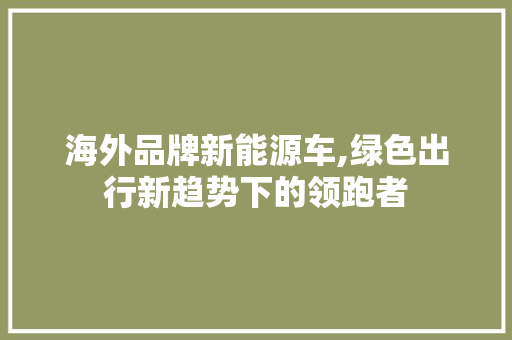 海外品牌新能源车,绿色出行新趋势下的领跑者