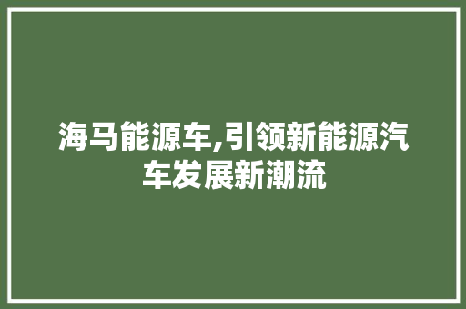 海马能源车,引领新能源汽车发展新潮流