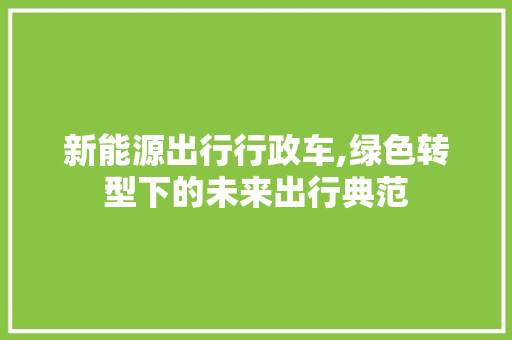 新能源出行行政车,绿色转型下的未来出行典范  第1张