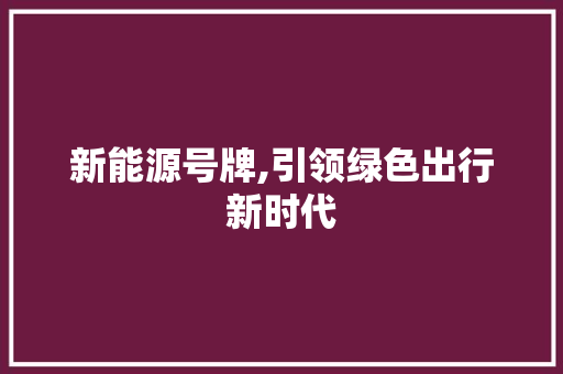 新能源号牌,引领绿色出行新时代