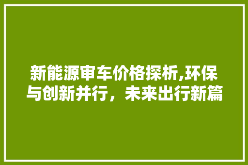 新能源审车价格探析,环保与创新并行，未来出行新篇章