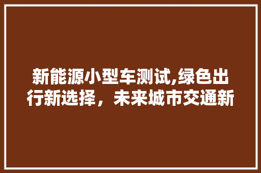 新能源小型车测试,绿色出行新选择，未来城市交通新趋势