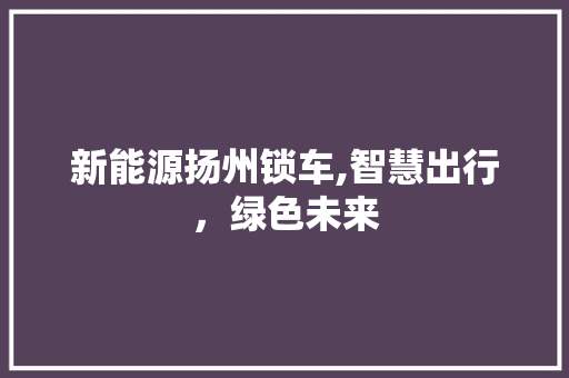 新能源扬州锁车,智慧出行，绿色未来