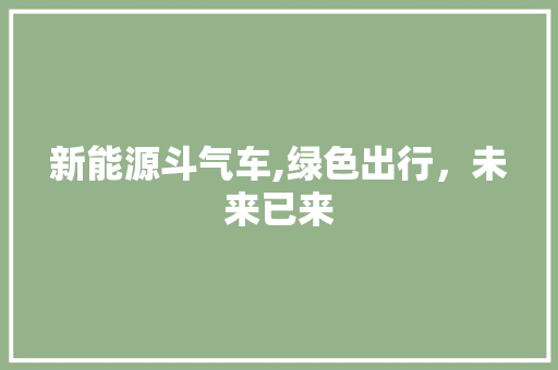 新能源斗气车,绿色出行，未来已来