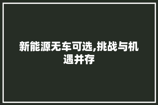 新能源无车可选,挑战与机遇并存