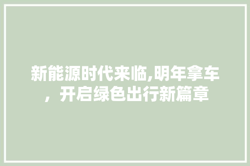 新能源时代来临,明年拿车，开启绿色出行新篇章