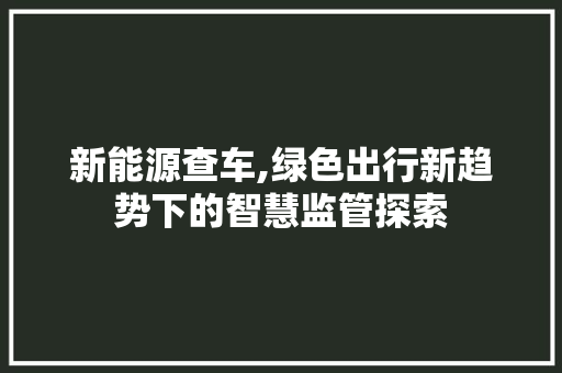 新能源查车,绿色出行新趋势下的智慧监管探索