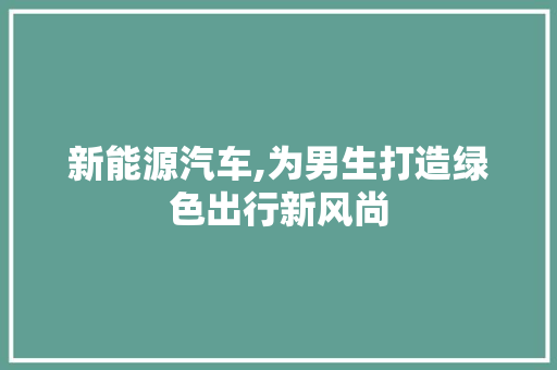 新能源汽车,为男生打造绿色出行新风尚