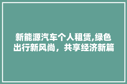 新能源汽车个人租赁,绿色出行新风尚，共享经济新篇章