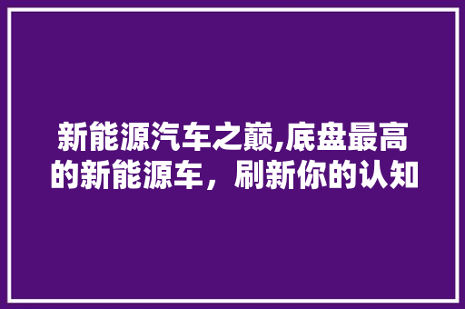 新能源汽车之巅,底盘最高的新能源车，刷新你的认知！