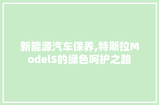 新能源汽车保养,特斯拉ModelS的绿色呵护之路