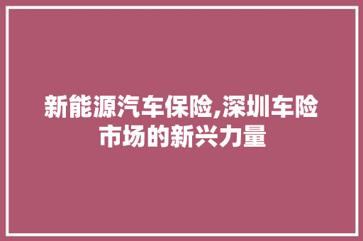 新能源汽车保险,深圳车险市场的新兴力量