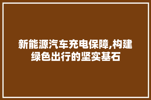 新能源汽车充电保障,构建绿色出行的坚实基石