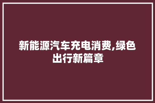 新能源汽车充电消费,绿色出行新篇章