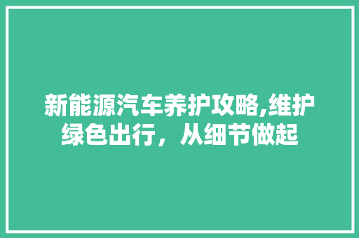 新能源汽车养护攻略,维护绿色出行，从细节做起