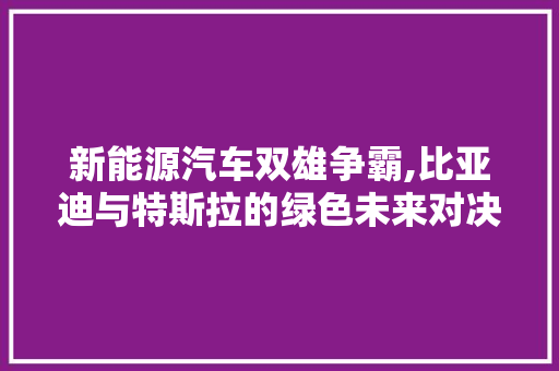 新能源汽车双雄争霸,比亚迪与特斯拉的绿色未来对决