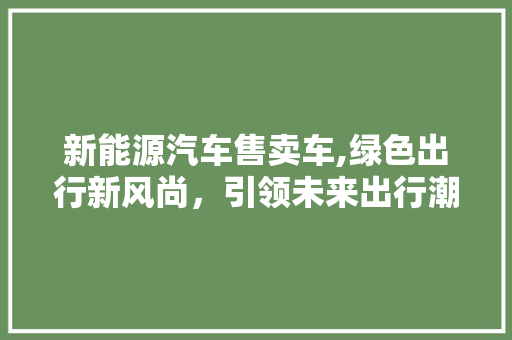 新能源汽车售卖车,绿色出行新风尚，引领未来出行潮流