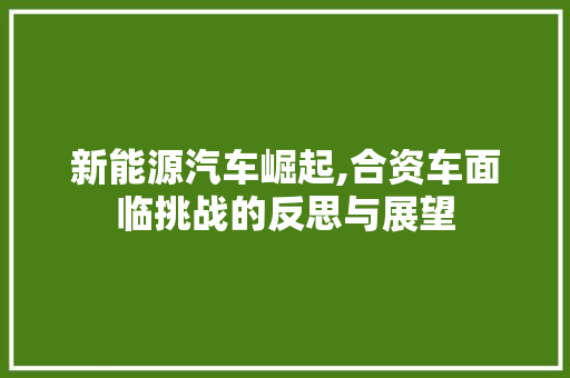 新能源汽车崛起,合资车面临挑战的反思与展望