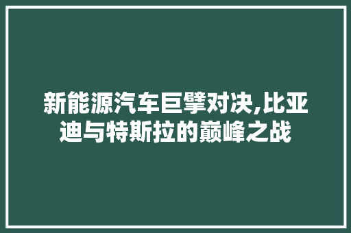 新能源汽车巨擘对决,比亚迪与特斯拉的巅峰之战