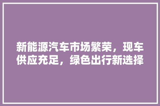 新能源汽车市场繁荣，现车供应充足，绿色出行新选择