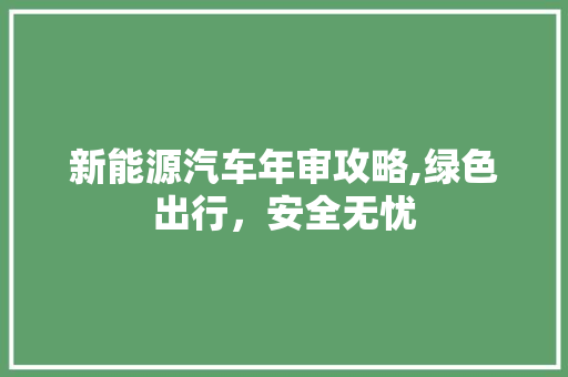 新能源汽车年审攻略,绿色出行，安全无忧