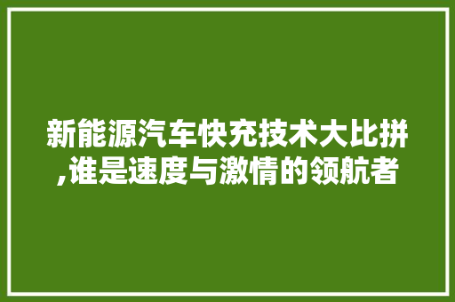 新能源汽车快充技术大比拼,谁是速度与激情的领航者