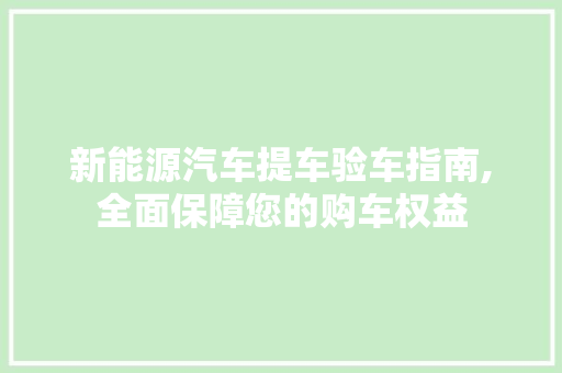 新能源汽车提车验车指南,全面保障您的购车权益