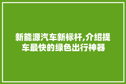 新能源汽车新标杆,介绍提车最快的绿色出行神器