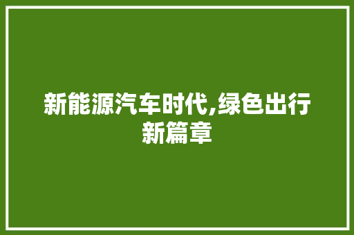 新能源汽车时代,绿色出行新篇章