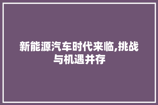 新能源汽车时代来临,挑战与机遇并存