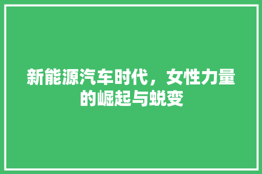 新能源汽车时代，女性力量的崛起与蜕变