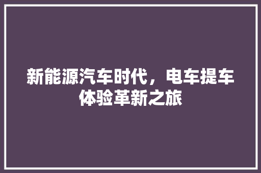 新能源汽车时代，电车提车体验革新之旅  第1张