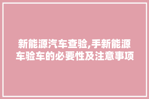 新能源汽车查验,手新能源车验车的必要性及注意事项  第1张