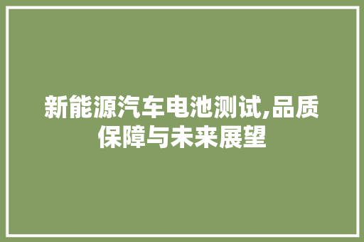 新能源汽车电池测试,品质保障与未来展望  第1张