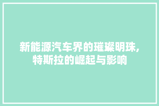 新能源汽车界的璀璨明珠,特斯拉的崛起与影响